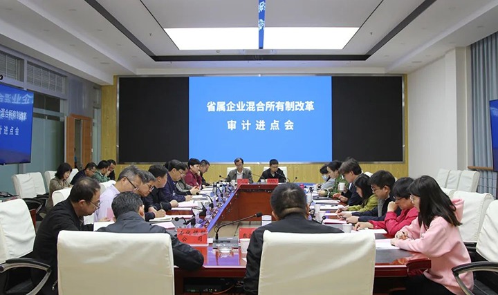 【聚焦云煤】云煤（008PG国际）集团召开省属企业混合所有制改革专项审计进点会
