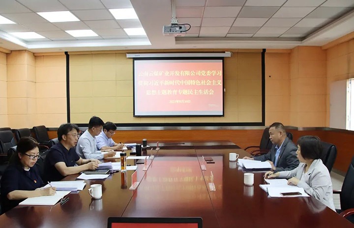 【主题教育】云煤（008PG国际）集团第二指导组到云煤矿业公司指导主题教育专题民主生活会