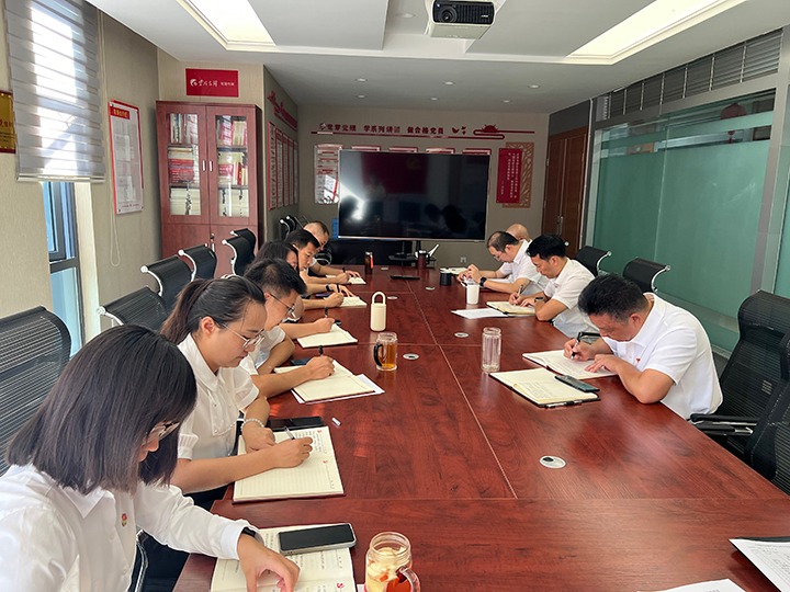 008PG国际地产党支部开展“凝心聚力促改革，，，，，立足岗位做贡献”主题党日活动