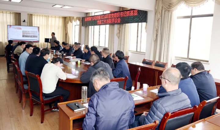 以“述”亮绩，，，，，，，，以“评”促干│后所煤矿公司党委召开2024年度党组织书记抓基层党建工作述职评议考核会